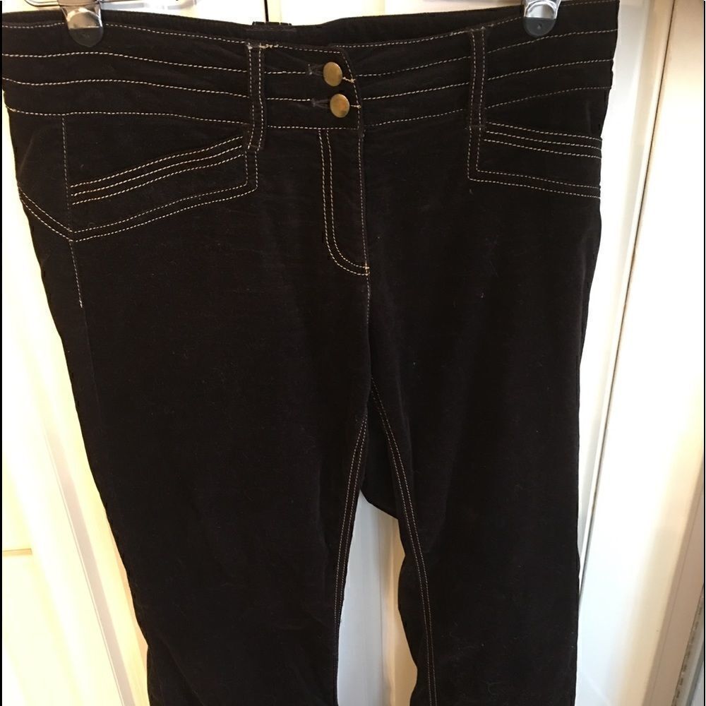 CACHE VELVET Pants